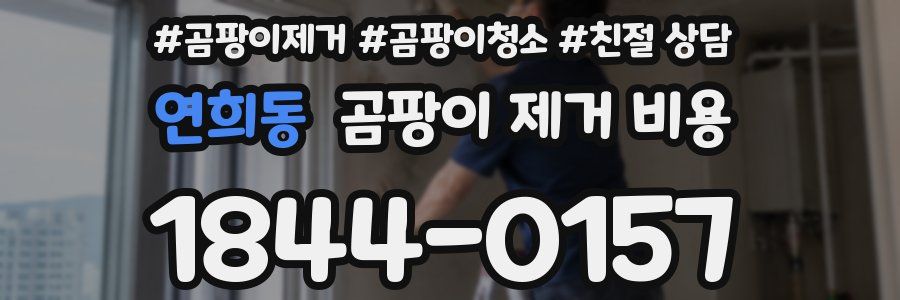 연희동 곰팡이 제거 비용