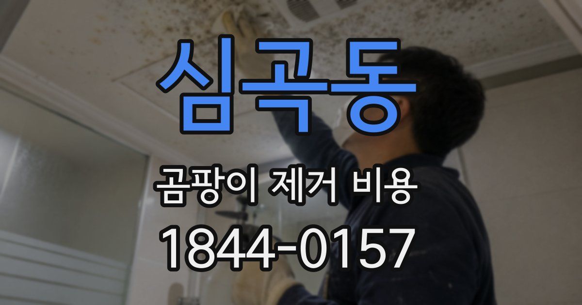 심곡동 곰팡이 제거 비용