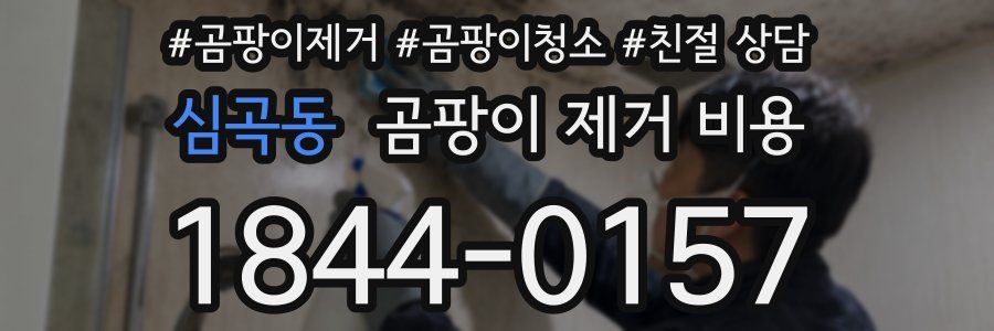 심곡동 곰팡이 제거 비용