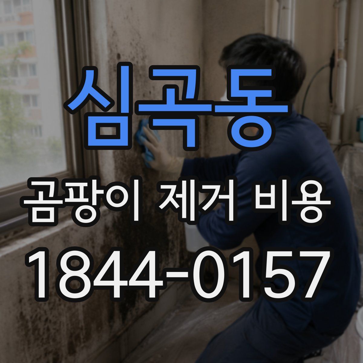 심곡동 곰팡이 제거 비용
