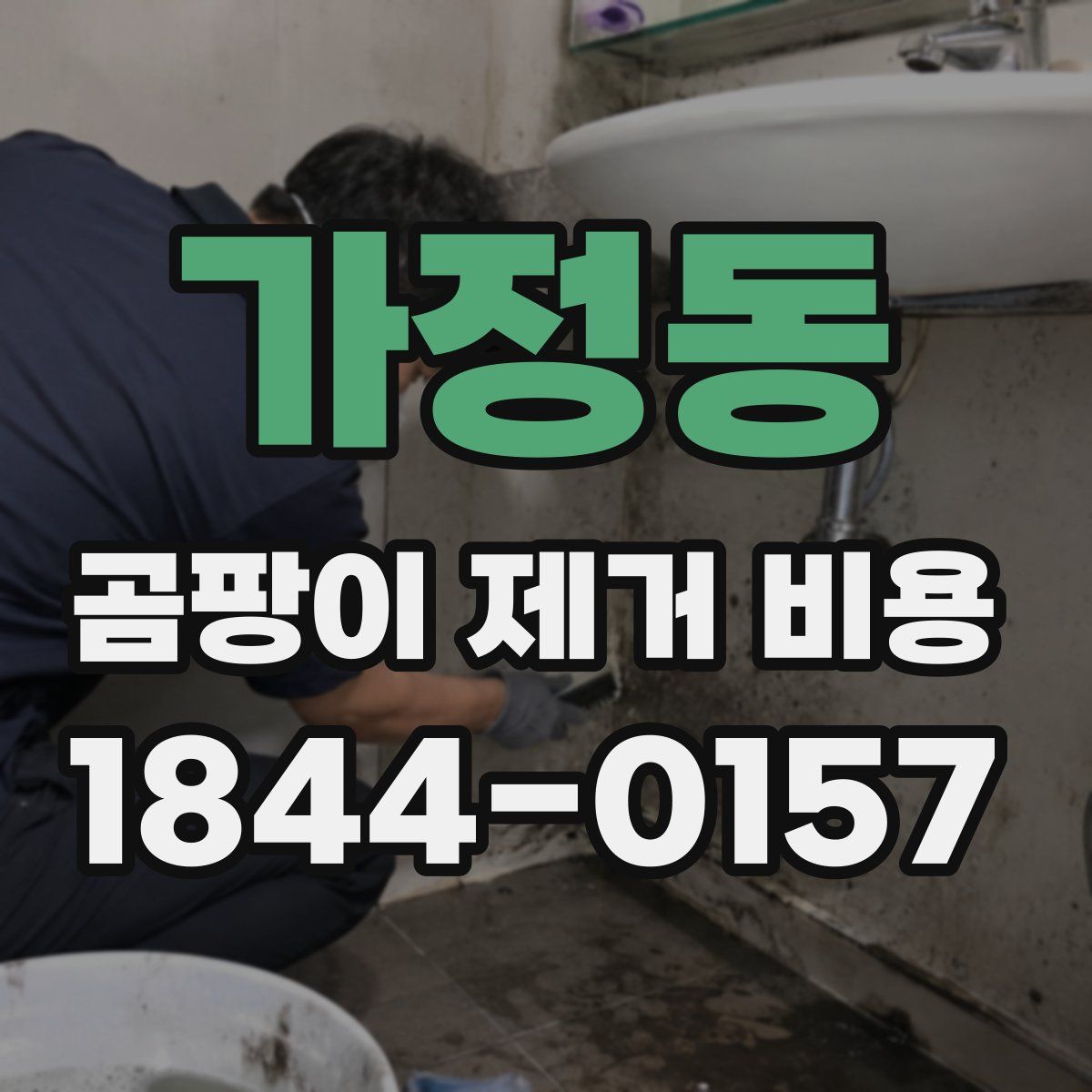 가정동 곰팡이 제거 비용