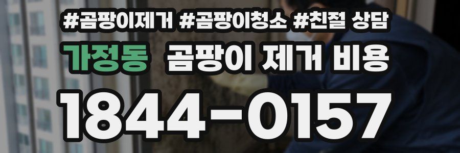 가정동 곰팡이 제거 비용
