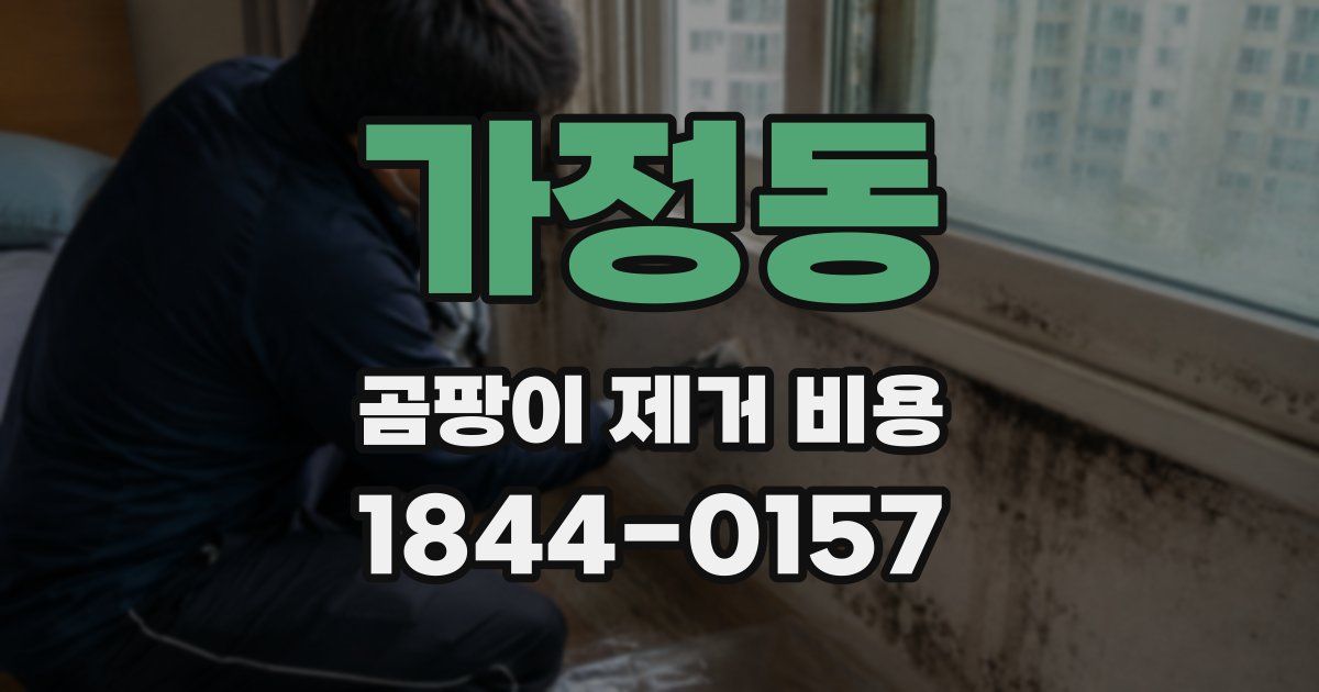 가정동 곰팡이 제거 비용