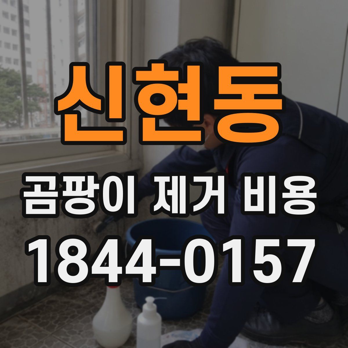 신현동 곰팡이 제거 비용