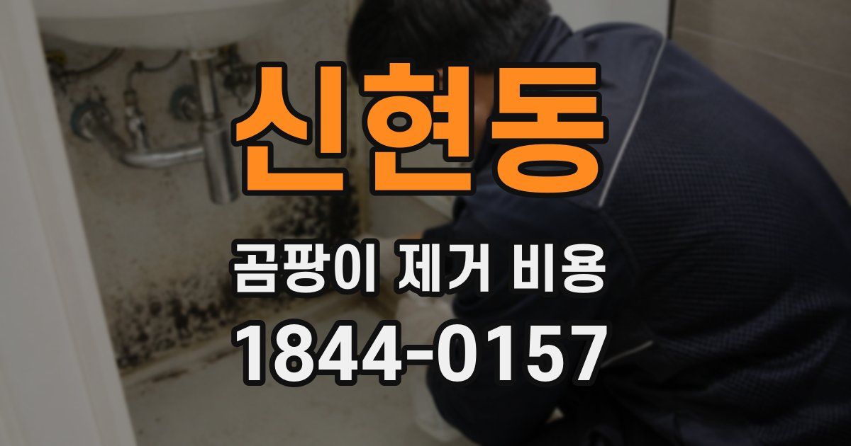 신현동 곰팡이 제거 비용