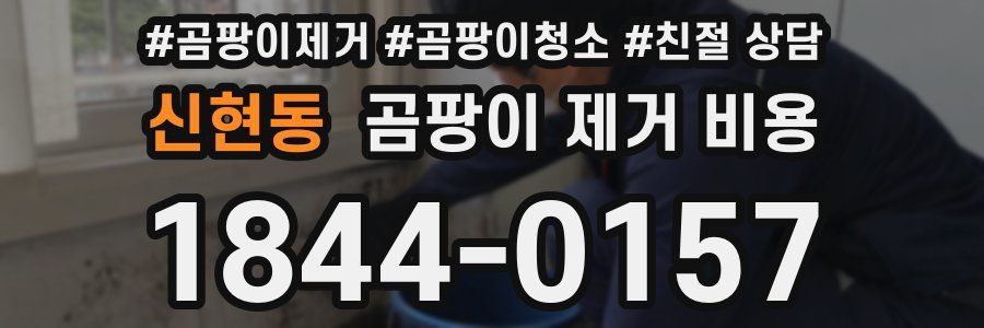 신현동 곰팡이 제거 비용
