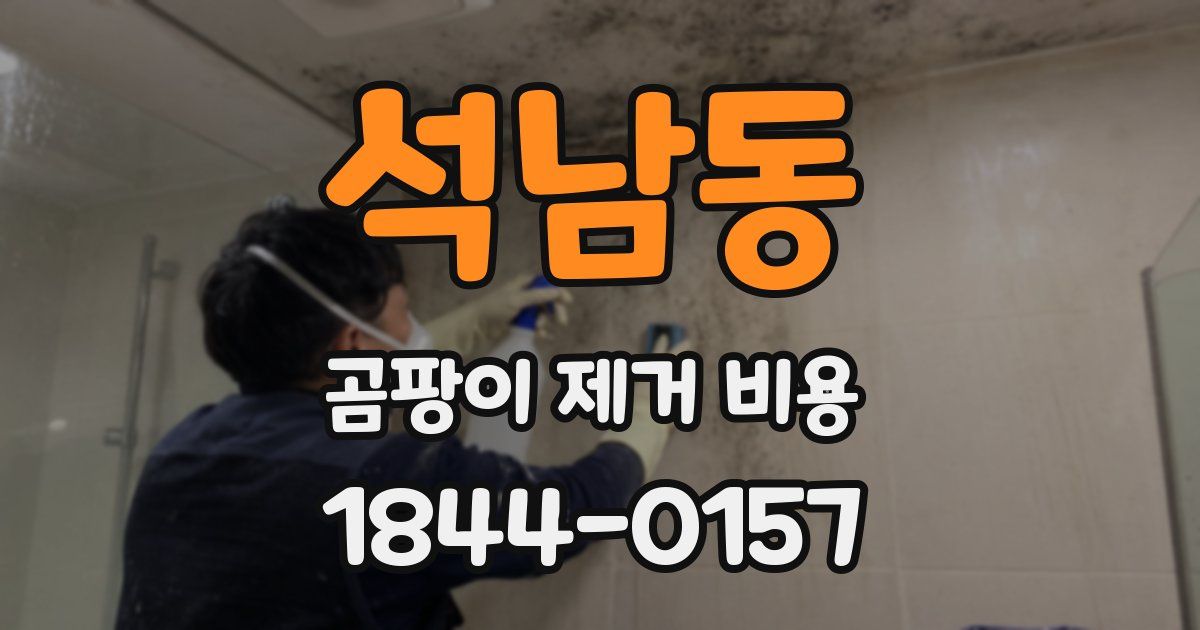 석남동 곰팡이 제거 비용
