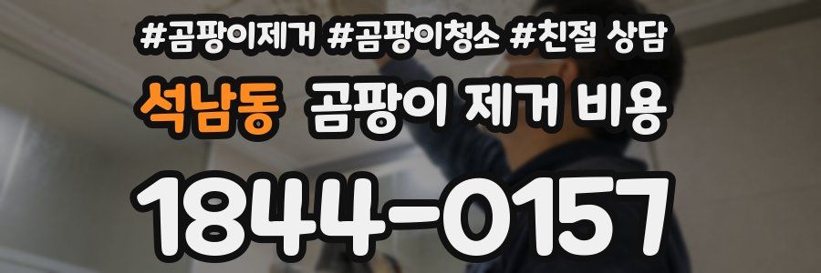 석남동 곰팡이 제거 비용