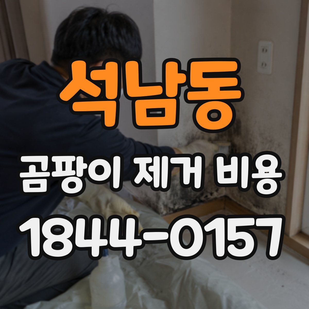 석남동 곰팡이 제거 비용
