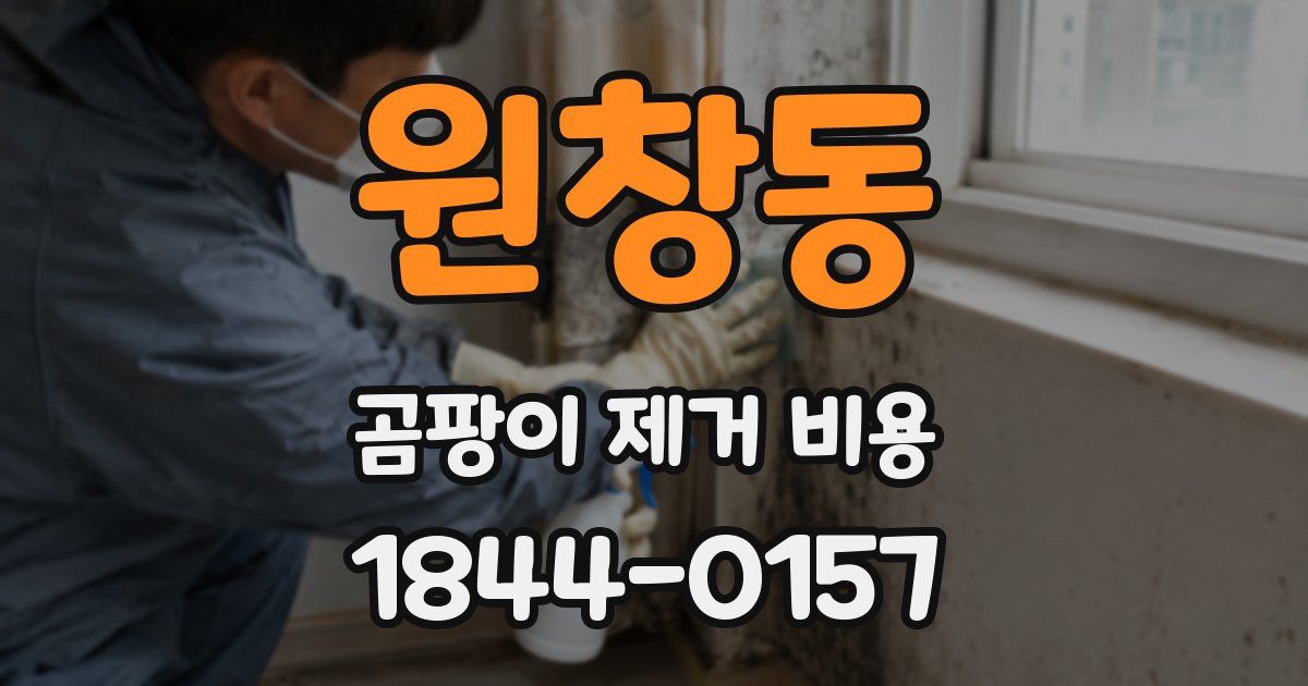 원창동 곰팡이 제거 비용