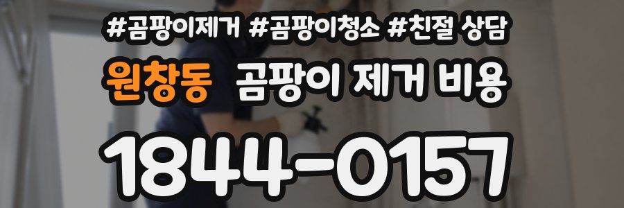 원창동 곰팡이 제거 비용