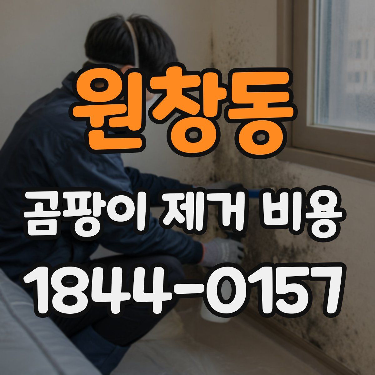 원창동 곰팡이 제거 비용