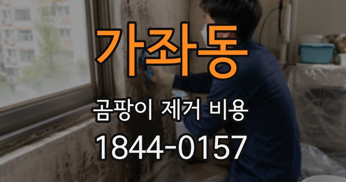 가좌동 곰팡이 제거 비용