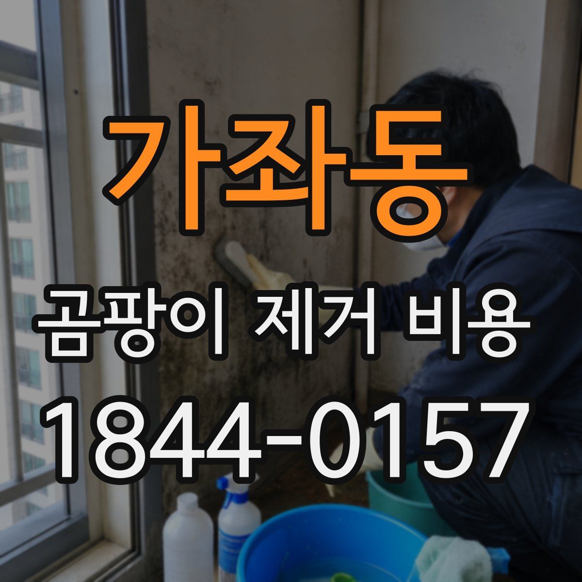 가좌동 곰팡이 제거 비용