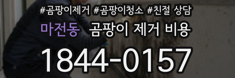 마전동 곰팡이 제거 비용
