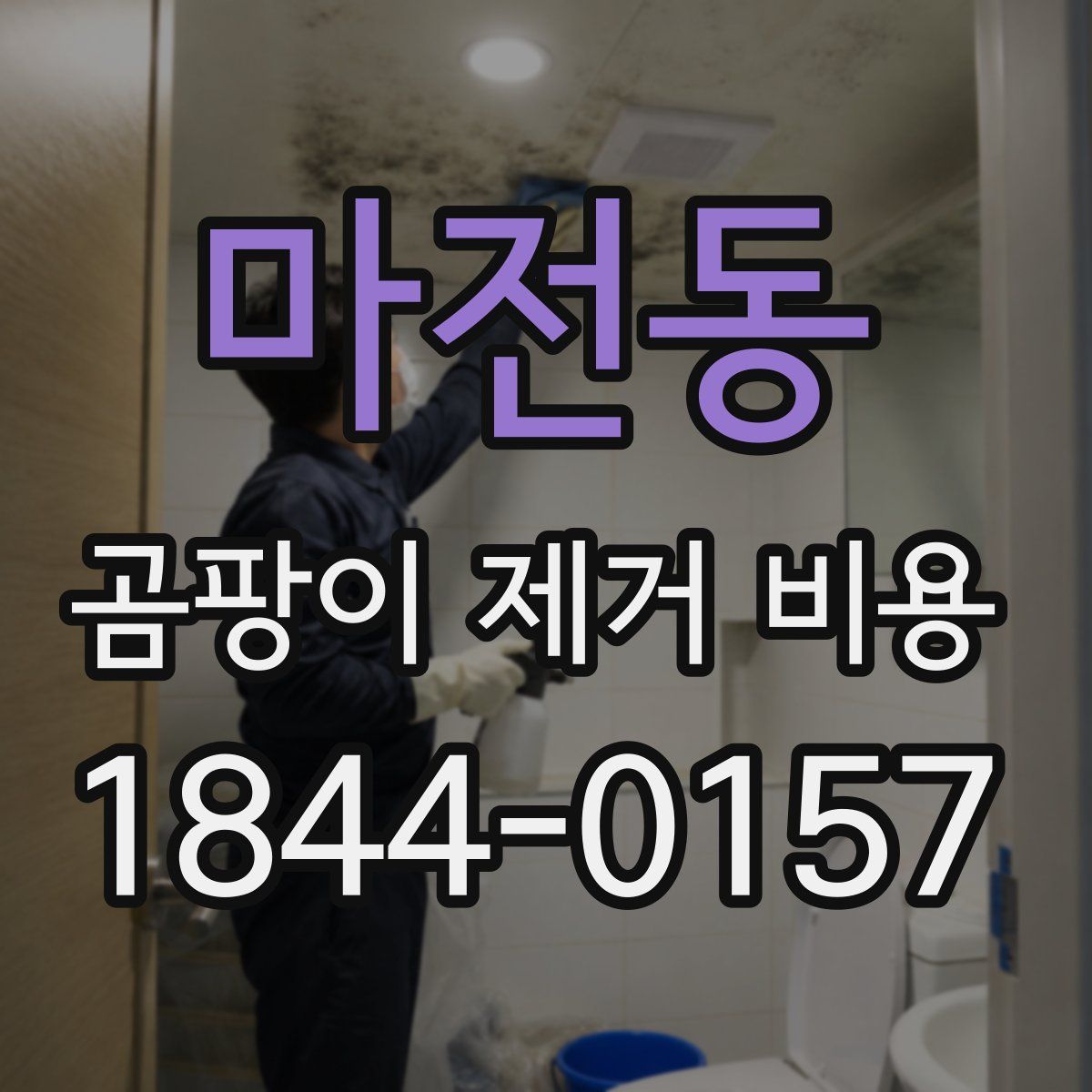 마전동 곰팡이 제거 비용