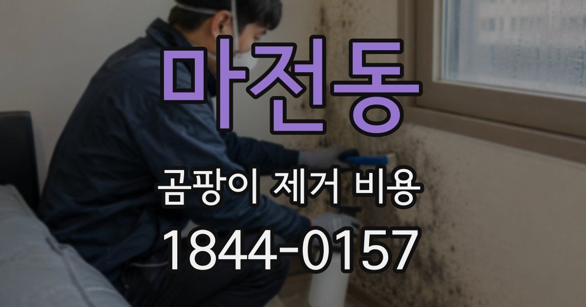 마전동 곰팡이 제거 비용