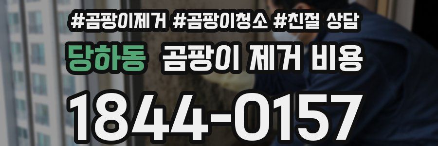 당하동 곰팡이 제거 비용