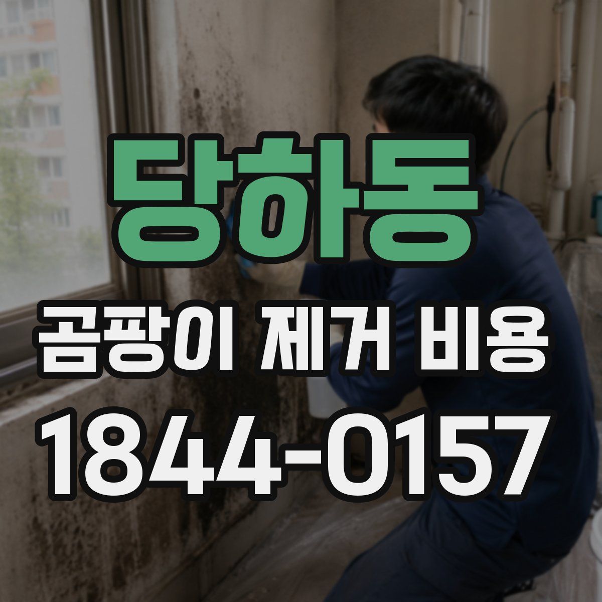 당하동 곰팡이 제거 비용