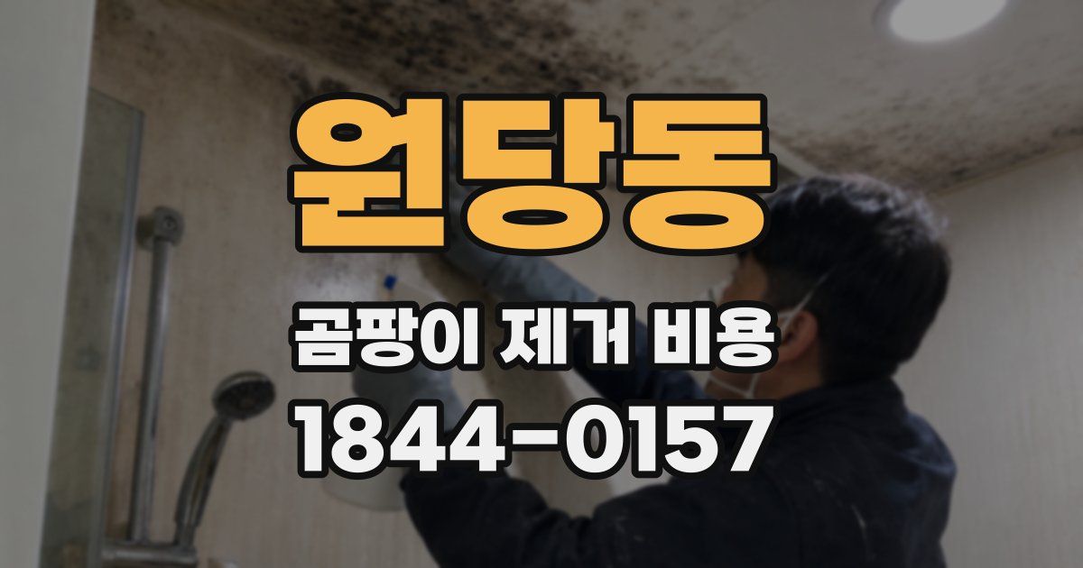 원당동 곰팡이 제거 비용