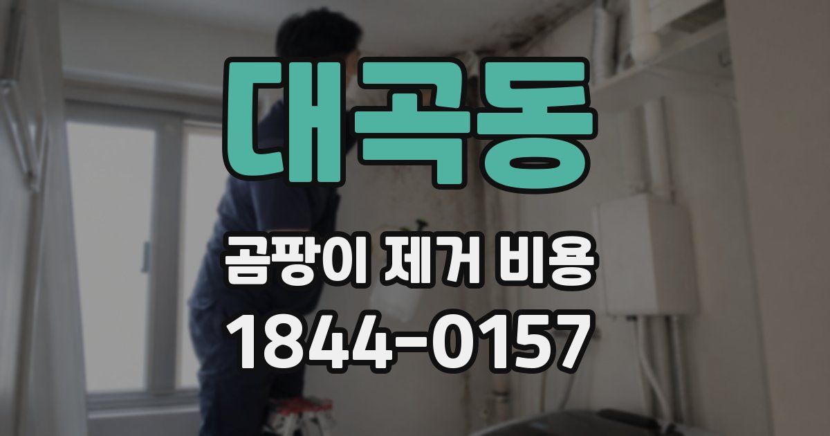 대곡동 곰팡이 제거 비용