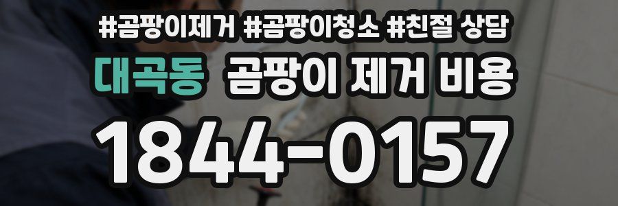 대곡동 곰팡이 제거 비용
