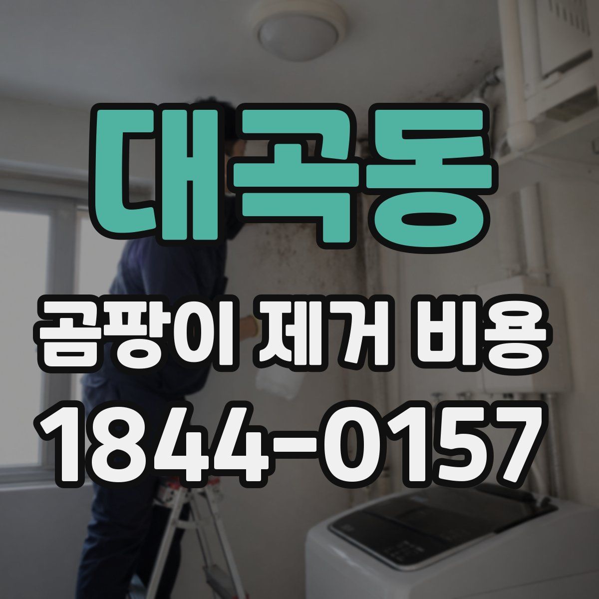 대곡동 곰팡이 제거 비용