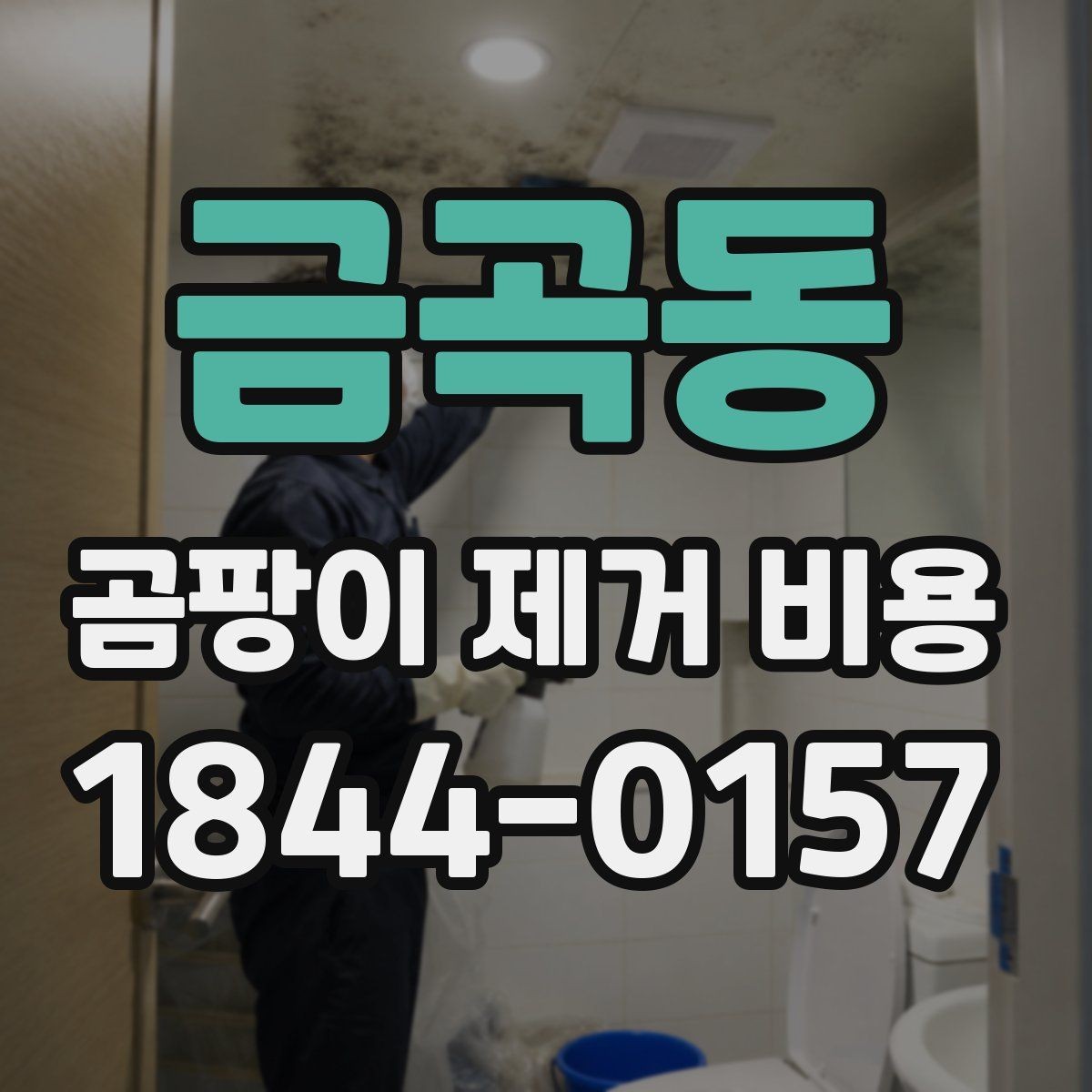 금곡동 곰팡이 제거 비용 견적 비교할 때 체크할 핵심 항목