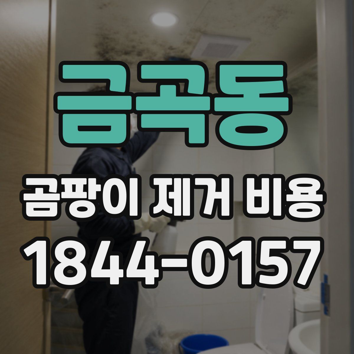 금곡동 곰팡이 제거 비용