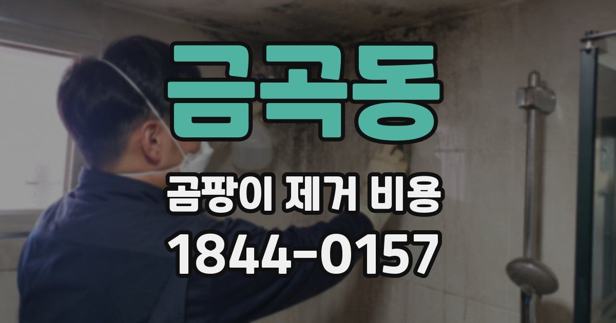 금곡동 곰팡이 제거 비용