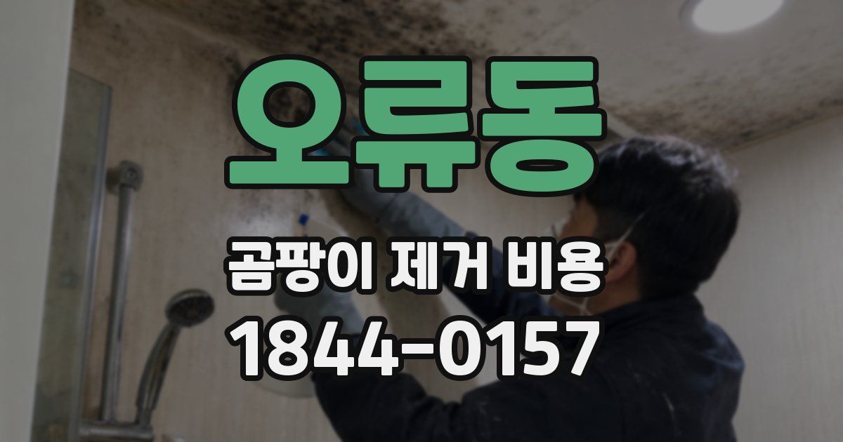오류동 곰팡이 제거 비용