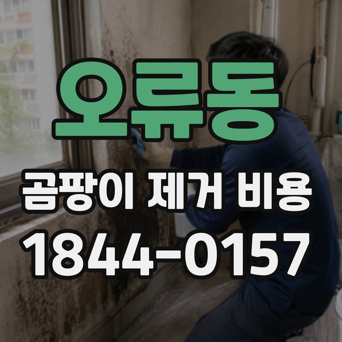 오류동 곰팡이 제거 비용