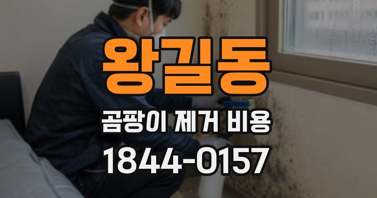왕길동 곰팡이 제거 비용