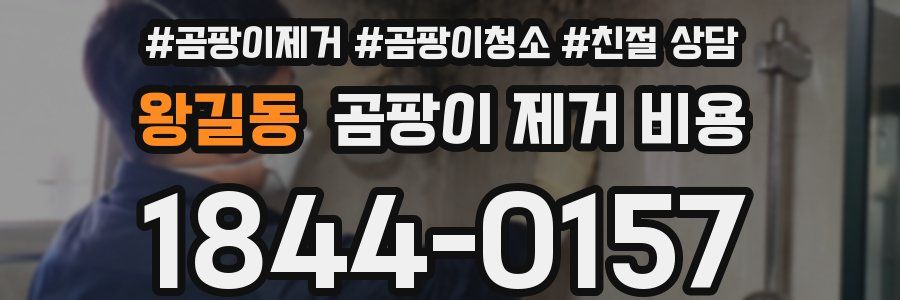 왕길동 곰팡이 제거 비용