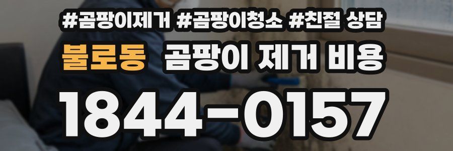 불로동 곰팡이 제거 비용