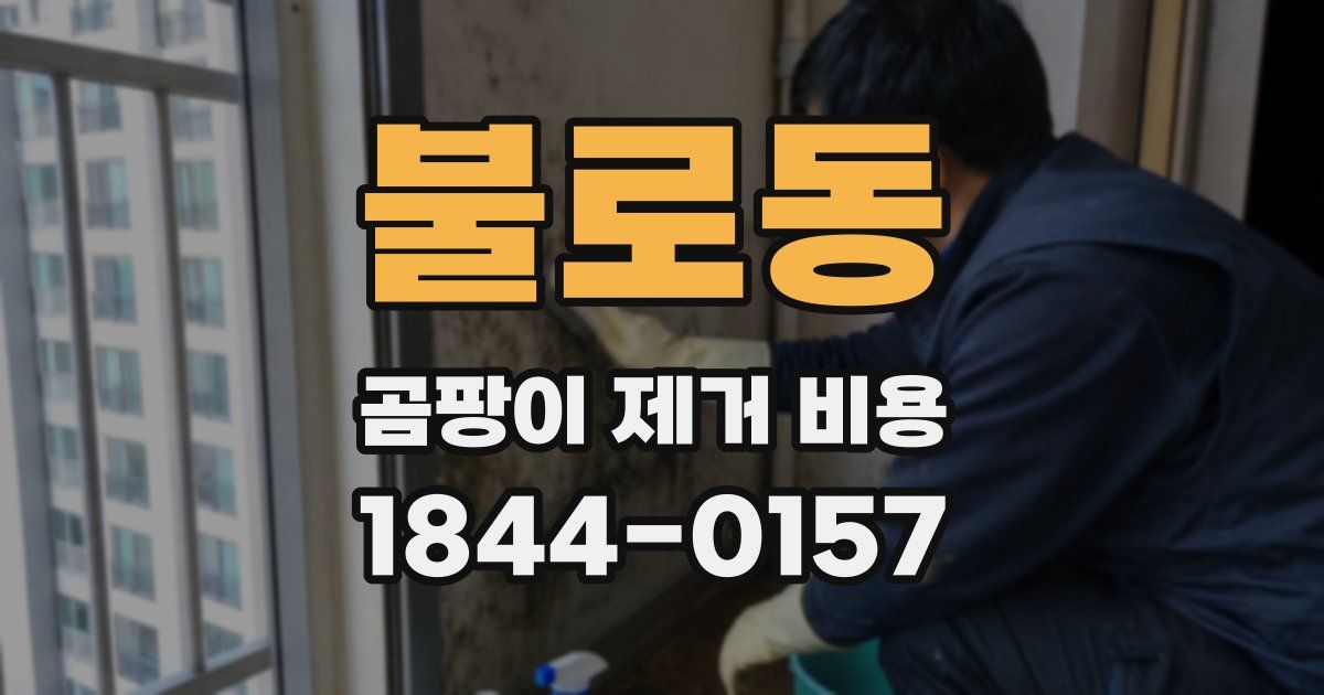불로동 곰팡이 제거 비용