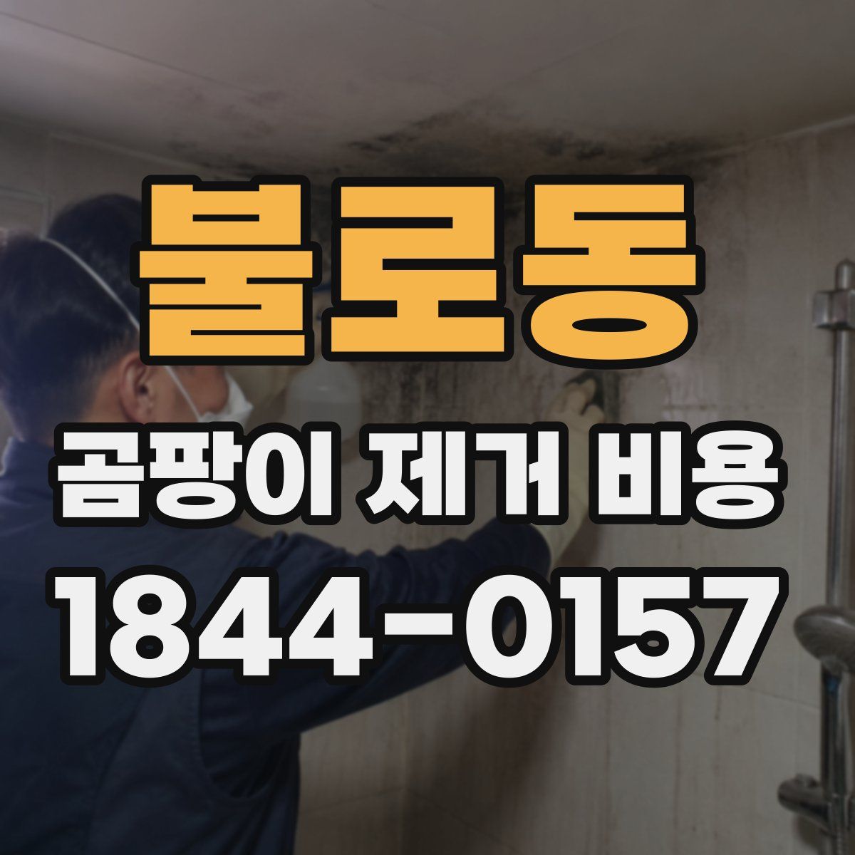불로동 곰팡이 제거 비용