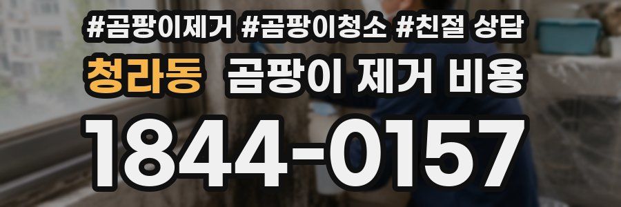청라동 곰팡이 제거 비용