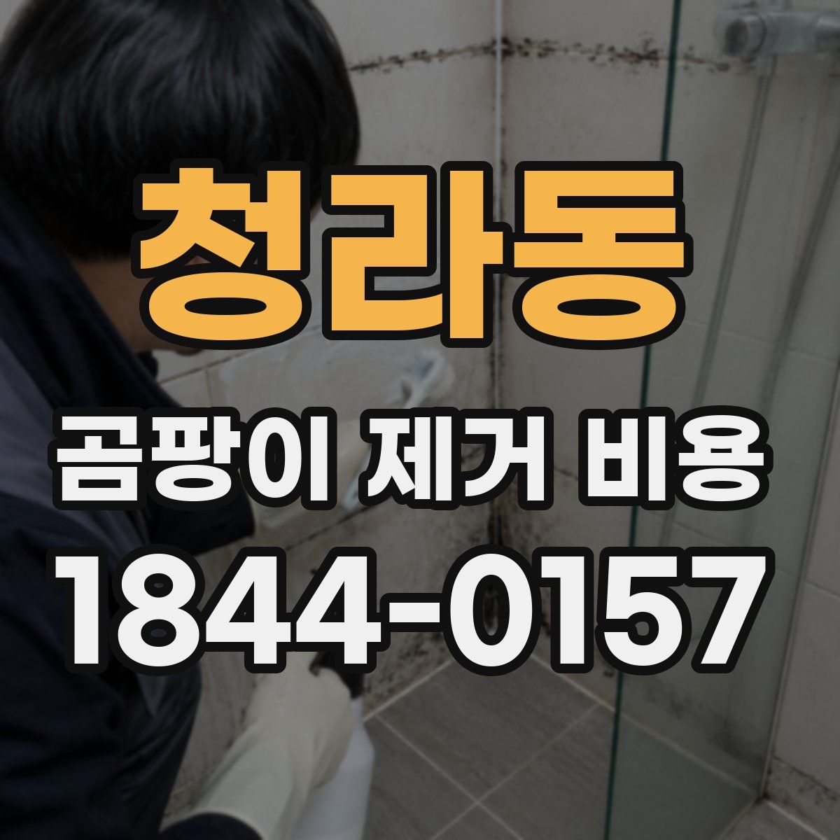 청라동 곰팡이 제거 비용