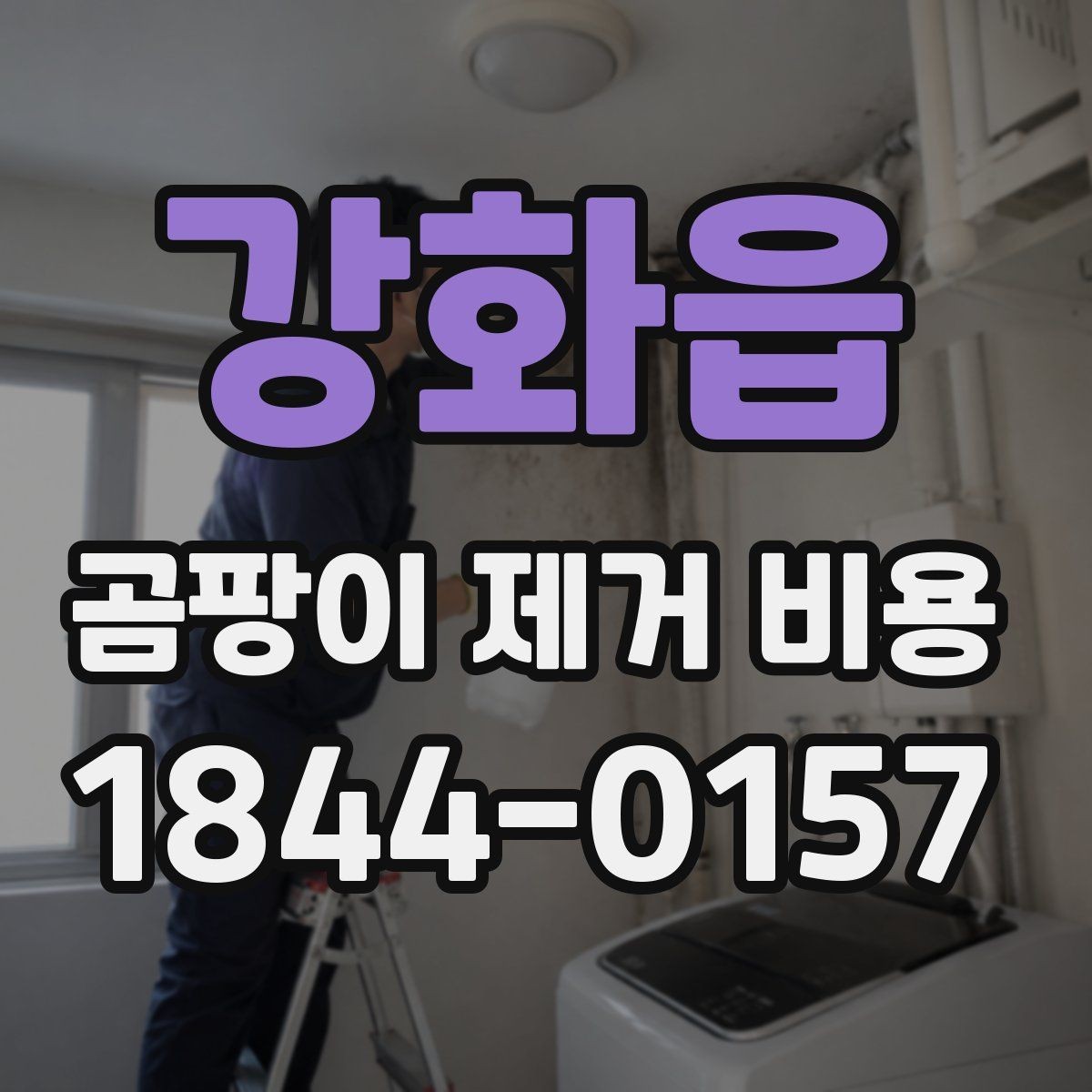 강화읍 곰팡이 제거 비용 견적서에서 확인할 세부 내역