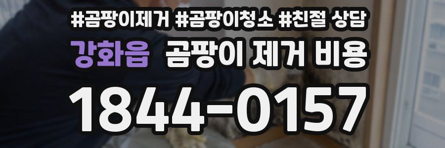 강화읍 곰팡이 제거 비용