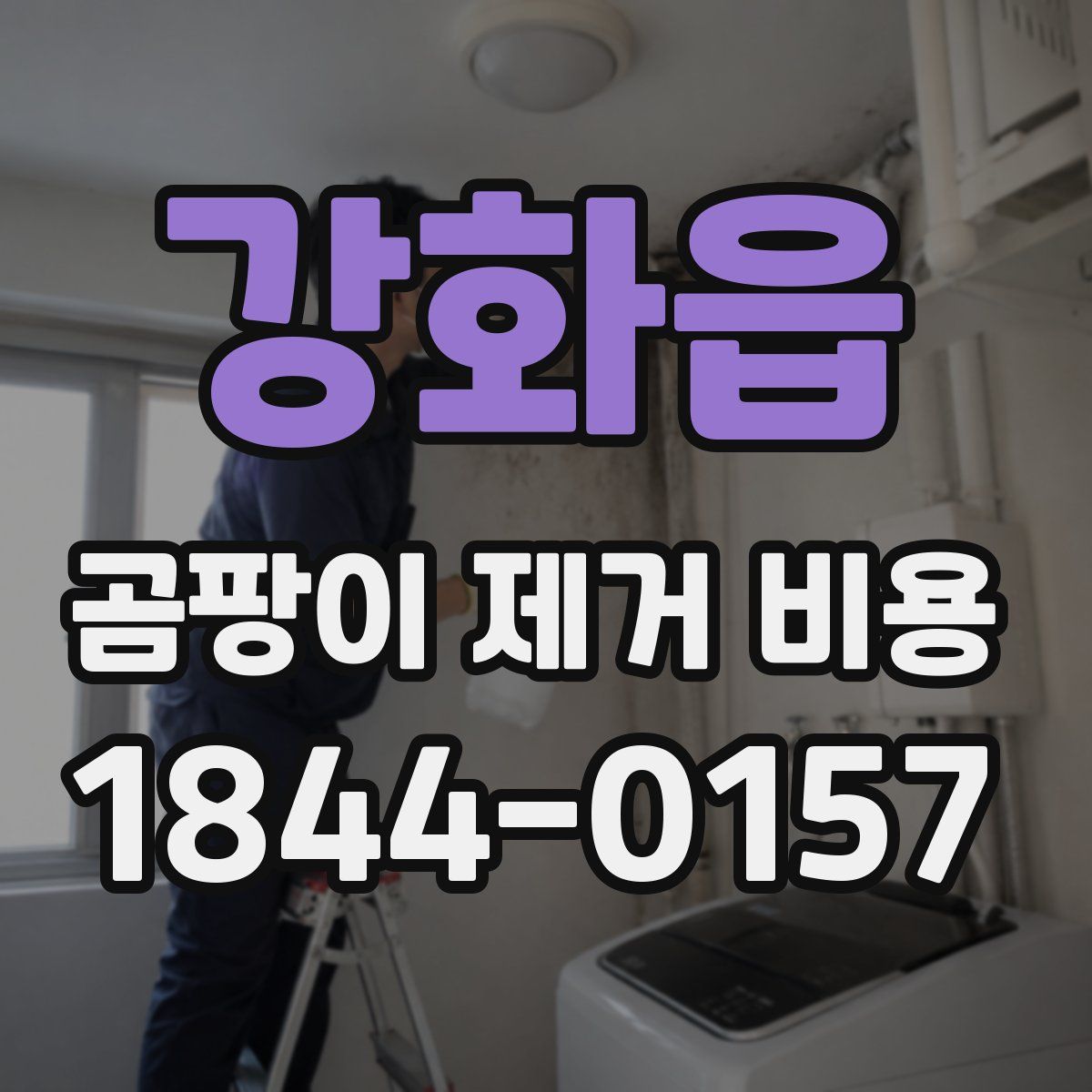 강화읍 곰팡이 제거 비용