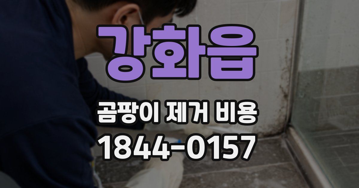 강화읍 곰팡이 제거 비용