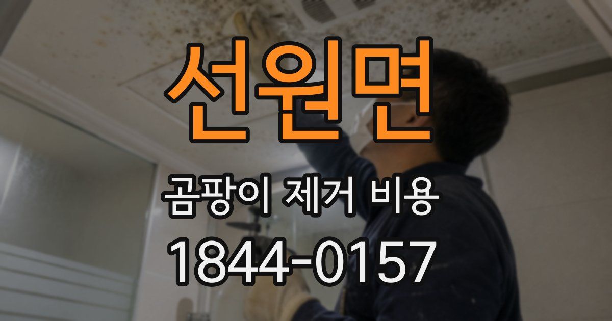 선원면 곰팡이 제거 비용