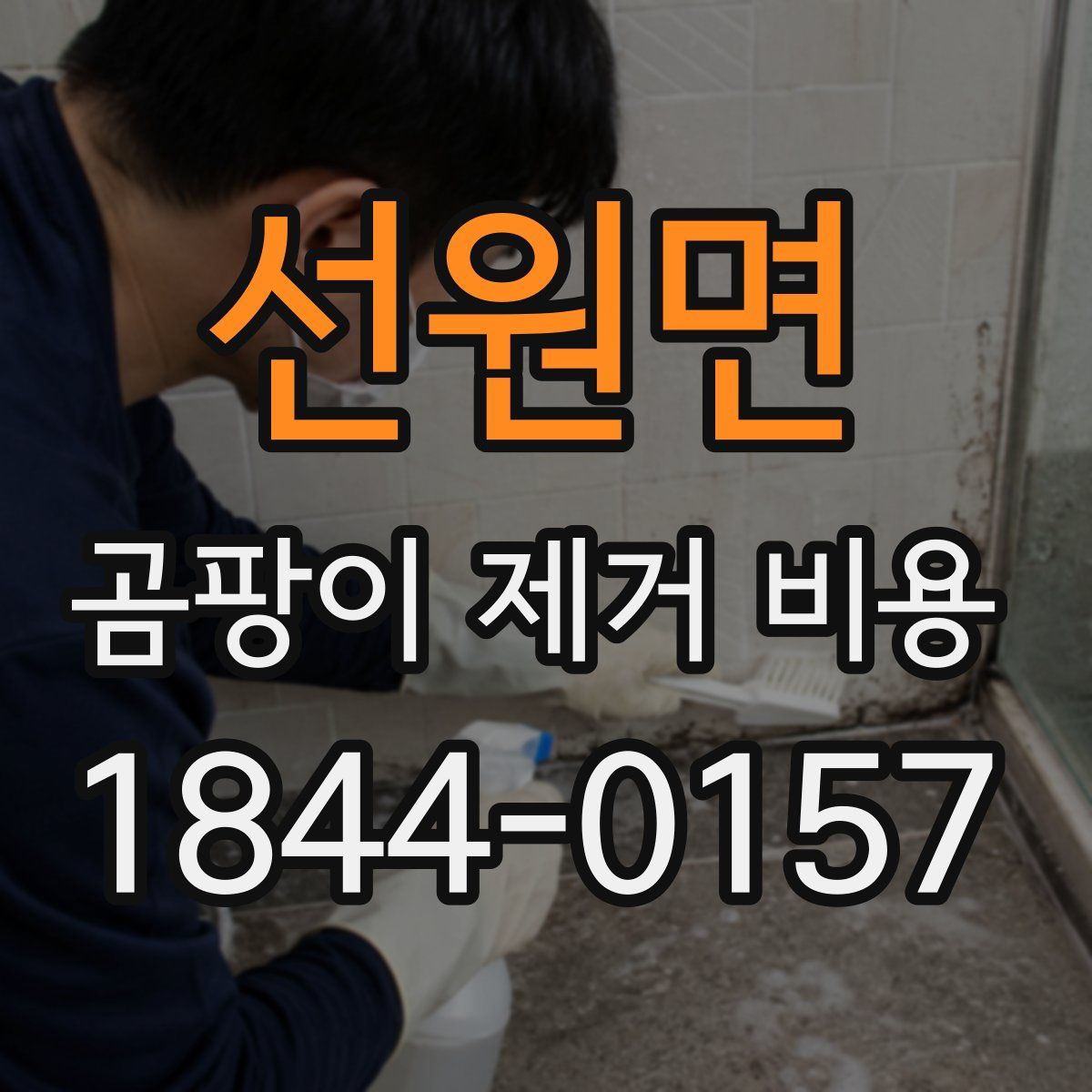 선원면 곰팡이 제거 비용