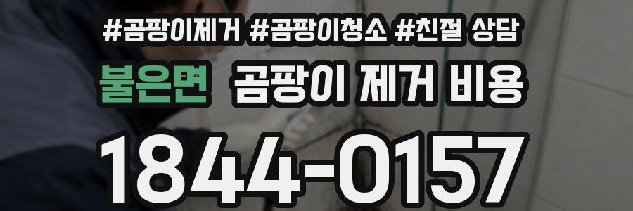 불은면 곰팡이 제거 비용