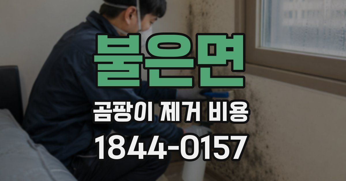 불은면 곰팡이 제거 비용