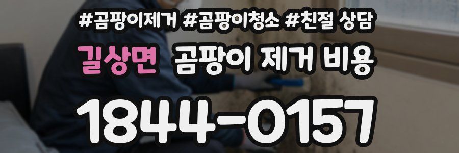길상면 곰팡이 제거 비용