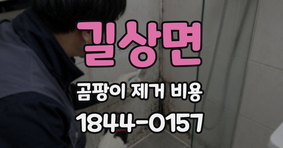 길상면 곰팡이 제거 비용