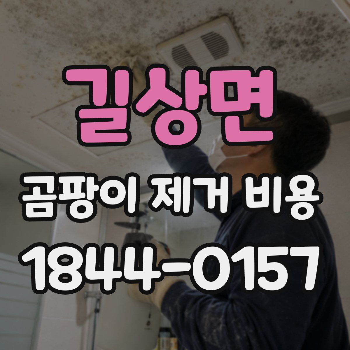 길상면 곰팡이 제거 비용